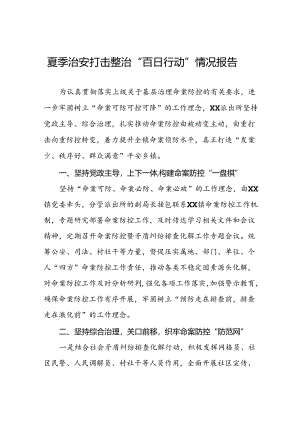 公安推进2024年夏季治安打击整治行动的情况报告十八篇.docx
