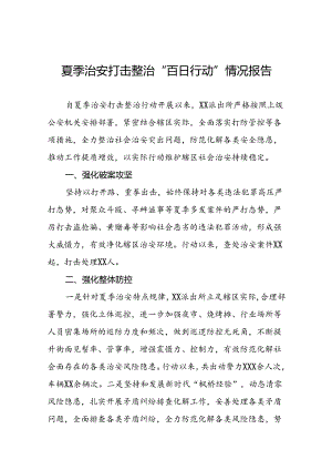派出所推进2024年夏季治安打击整治行动情况报告十四篇.docx