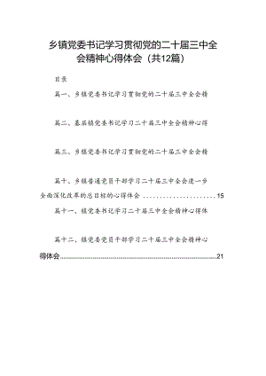 乡镇党委书记学习贯彻党的二十届三中全会精神心得体会12篇供参考.docx