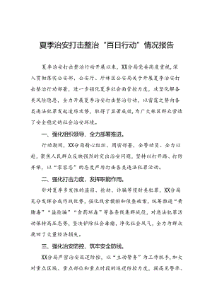 公安2024年“夏季行动”专项整治情况报告二十七篇.docx