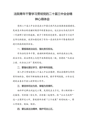 法院青年干警学习贯彻党的二十届三中全会精神心得体会.docx