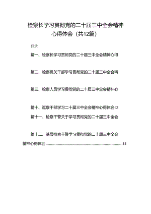 检察长学习贯彻党的二十届三中全会精神心得体会12篇（精选）.docx