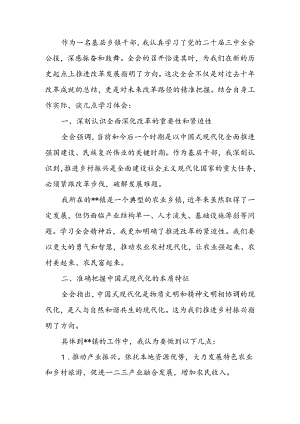 乡镇干部学习二十届三中全会精神心得感悟.docx