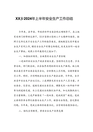 XX乡2024年上半年安全生产工作总结.docx