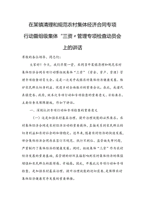 在某镇清理和规范农村集体经济合同专项行动暨组级集体“三资”管理专项检查动员会上的讲话.docx