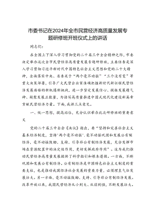 市委书记在2024年全市民营经济高质量发展专题研修班开班仪式上的讲话.docx