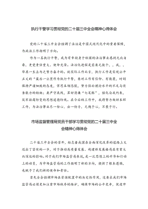 执行干警学习贯彻党的二十届三中全会精神心得体会8篇(最新精选).docx