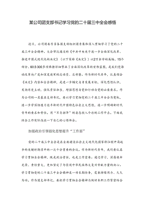 某公司团支部书记学习党的二十届三中全会感悟.docx