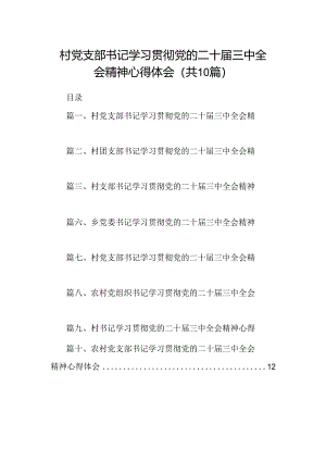 （10篇）村党支部书记学习贯彻党的二十届三中全会精神心得体会（详细版）.docx