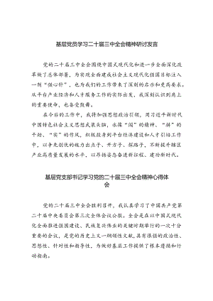 基层党员学习二十届三中全会精神研讨发言（共四篇）.docx