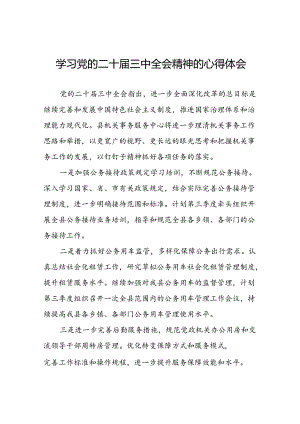 2024年党的二十届三中全会精神学习体会研讨发言材料范文三十篇.docx