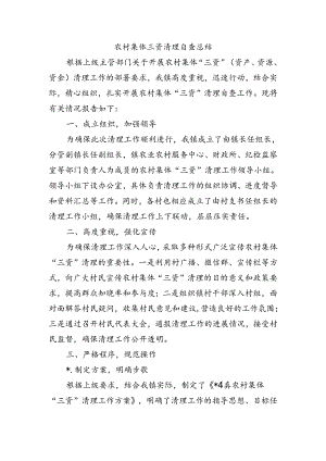 农村集体三资清理自查总结.docx