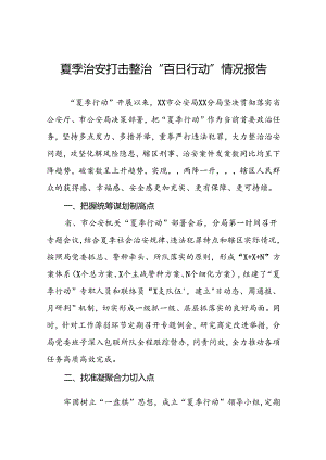 公安分局推动夏季治安打击整治行动走深走实工作汇报17篇.docx