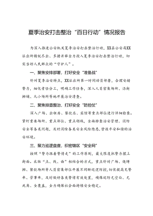 派出所推进2024年夏季治安打击整治行动工作汇报(十五篇).docx