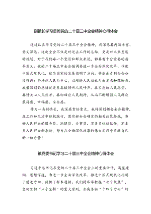 副镇长学习贯彻党的二十届三中全会精神心得体会（共五篇）.docx