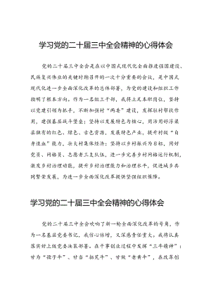 2024年党的二十届三中全会精神学习体会样本28篇.docx
