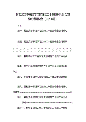 （11篇）村党支部书记学习党的二十届三中全会精神心得体会范文.docx