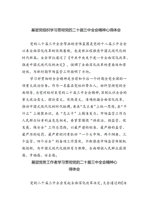 基层党组织学习贯彻党的二十届三中全会精神心得体会（共8篇）.docx