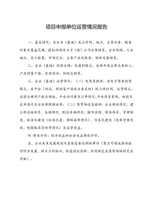 项目申报单位运营情况报告.docx