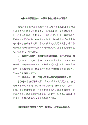 庭长学习贯彻党的二十届三中全会精神心得体会（共八篇选择）.docx