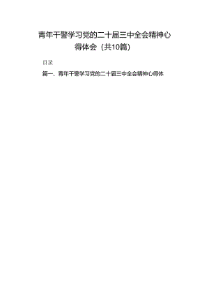 青年干警学习党的二十届三中全会精神心得体会10篇（详细版）.docx