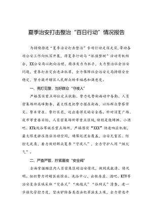 公安推进夏季治安打击整治行动工作报告十八篇.docx