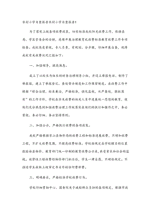 农村小学自查报告.docx