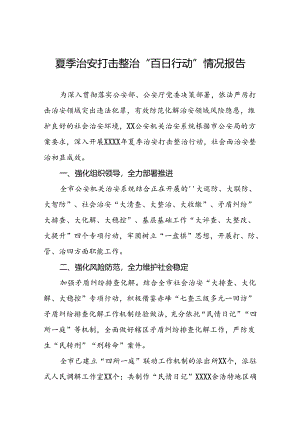 公安推进夏季治安打击整治行动走深走实工作报告十八篇.docx