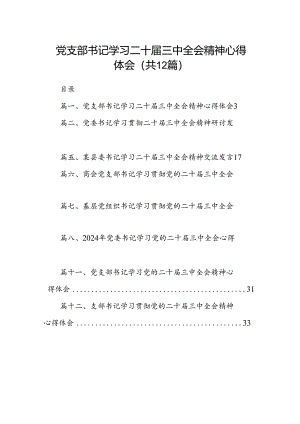 党支部书记学习二十届三中全会精神心得体会（共12篇）.docx