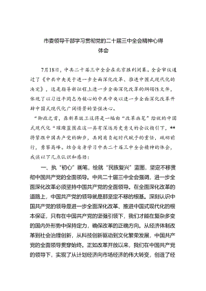 市委领导干部学习贯彻党的二十届三中全会精神心得体会5篇（最新版）.docx