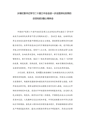 乡镇纪委书记学习二十届三中全会进一步全面深化改革的总目标的3篇心得体会.docx