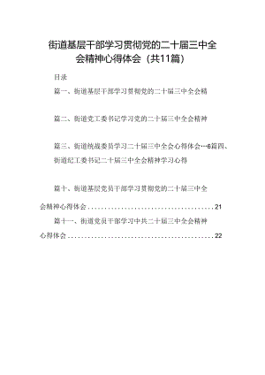 （11篇）街道基层干部学习贯彻党的二十届三中全会精神心得体会（详细版）.docx