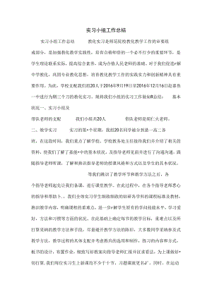 实习小组工作总结.docx