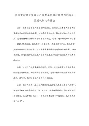 学习贯彻建立完善生产经营单位事故隐患内部报告奖励机制心得体会.docx