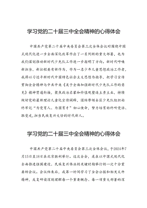 学习领会党的二十届三中全会精神心得体会范文.docx