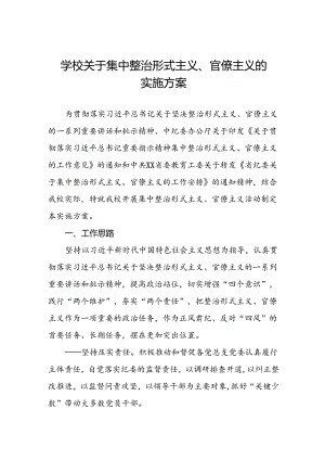 学校关于集中整治形式主义、官僚主义的实施方案.docx