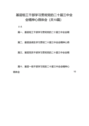 （10篇）基层组工干部学习贯彻党的二十届三中全会精神心得体会集合.docx