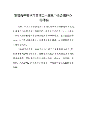 审管办干警学习贯彻二十届三中全会精神心得体会.docx