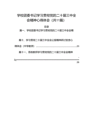（11篇）学校团委书记学习贯彻党的二十届三中全会精神心得体会范文.docx