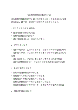 可行性研究报告的进度计划.docx