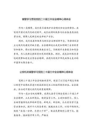 辅警学习贯彻党的二十届三中全会精神心得体会 （汇编8份）.docx