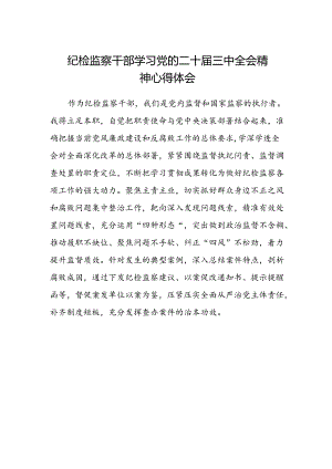 纪检监察干部学习党的二十届三中全会精神心得体会范文.docx