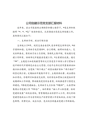 公司创建示范党支部汇报材料.docx