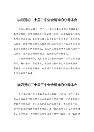 2024年二十届三中全会精神学习体会感悟三十篇.docx