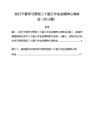 执行干警学习贯彻二十届三中全会精神心得体会12篇（精选）.docx