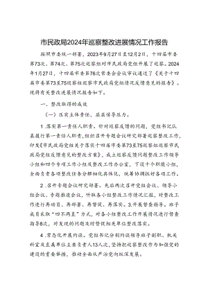 市民政局2024年巡察整改进展情况工作报告.docx