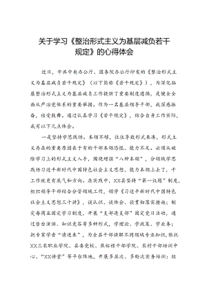 学习《整治形式主义为基层减负若干规定》的心得体会.docx
