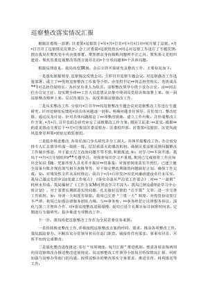 巡察整改落实情况汇报.docx