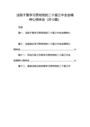 法院干警学习贯彻党的二十届三中全会精神心得体会样本12篇（详细版）.docx
