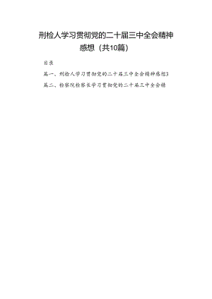 （10篇）刑检人学习贯彻党的二十届三中全会精神感想范文.docx
